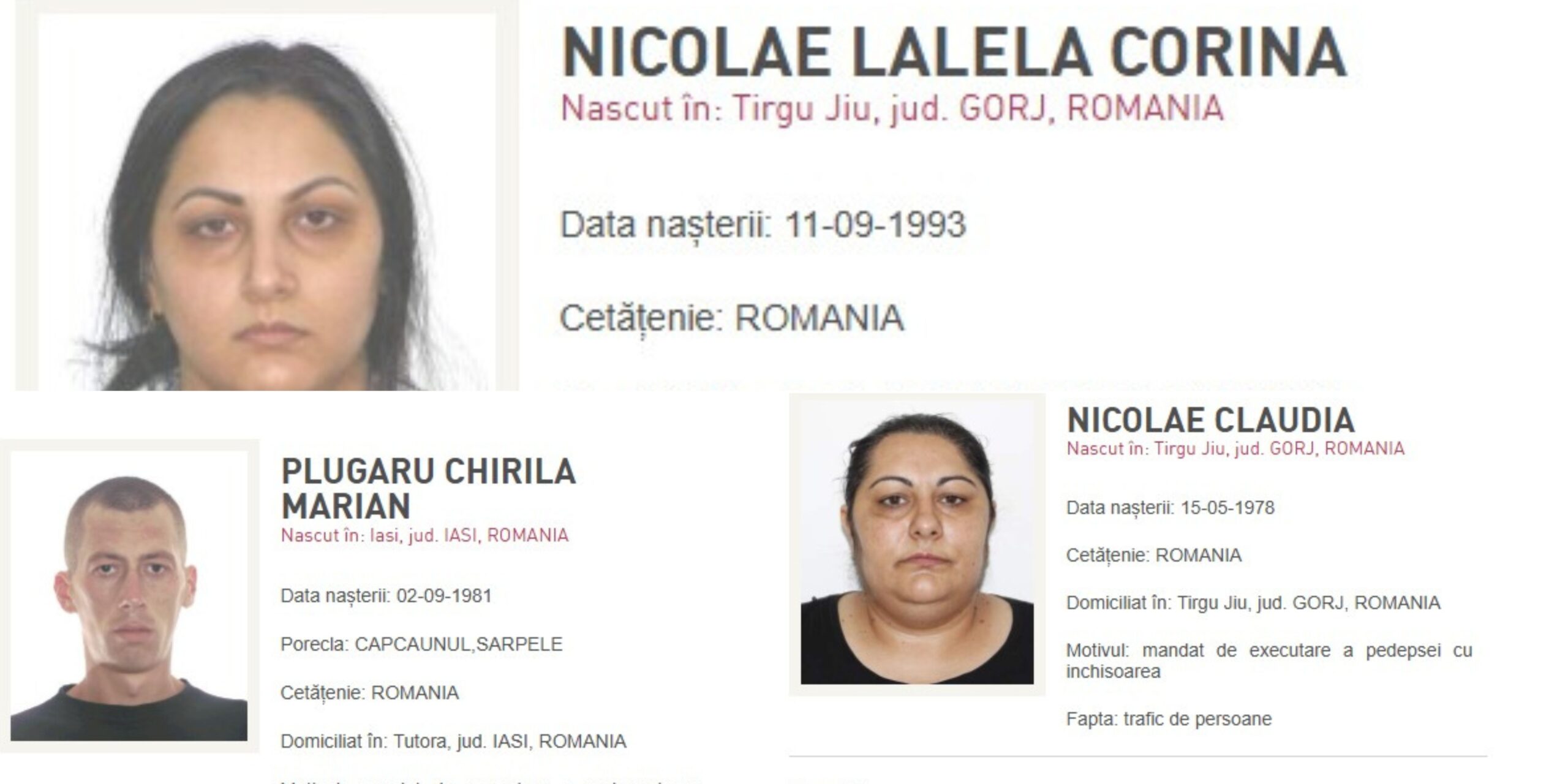 Poliția Română a reușit, în ultimele zile ale anului 2025, să aducă în țară șapte persoane urmărite internațional, printre care și un individ inclus în categoria „most wanted”, cercetat pentru infracțiuni grave de trafic de droguri