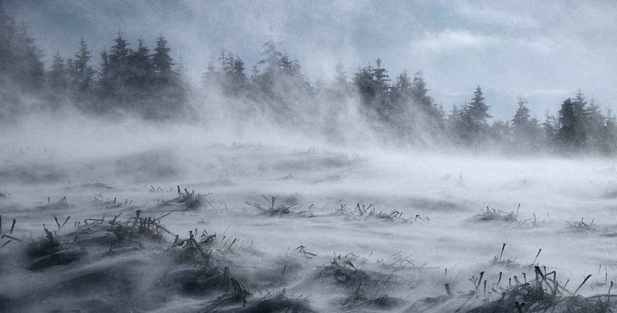 Viscol puternic în Munții Apuseni: zăpada troienită și vizibilitatea redusă la minime Autoritățile meteorologice au emis, luni dimineața, o avertizare nowcasting de cod roșu pentru zona montană a județului Alba, unde rafalele de vânt ating și depășesc 120 km/h