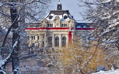 01_Primaria_Oradea_12012026.jpg - ReporterUrban