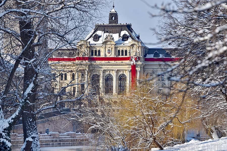 01_Primaria_Oradea_12012026.jpg - ReporterUrban