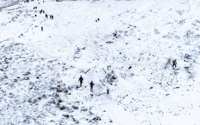 0_Winter-weather-Jan-10th-2026.jpg - ReporterUrban