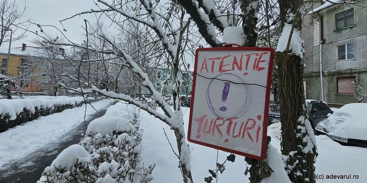 1768484271_index.jpeg - ReporterUrban