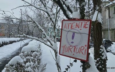 1768484271_index.jpeg - ReporterUrban