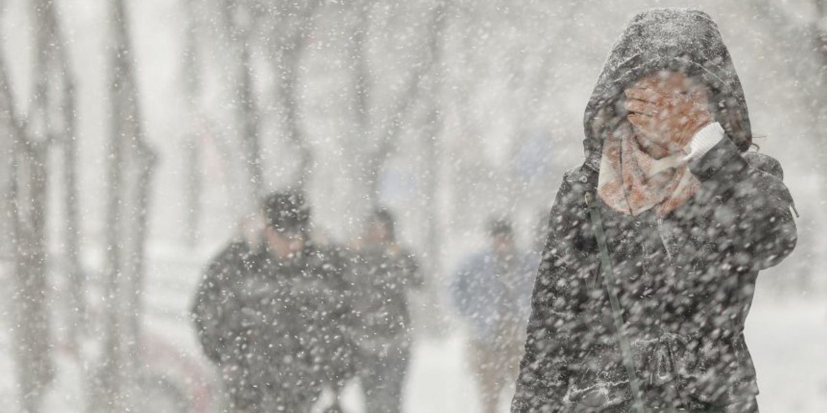 1769492077_index.jpeg - ReporterUrban