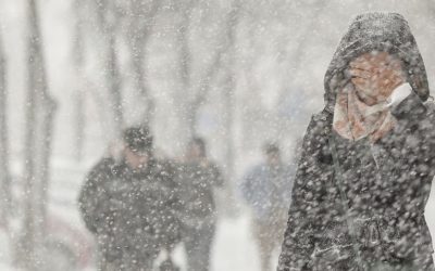 1769492077_index.jpeg - ReporterUrban