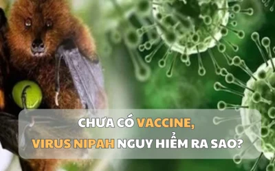 1769500972493_virus-1769477844.webp.webp - ReporterUrban