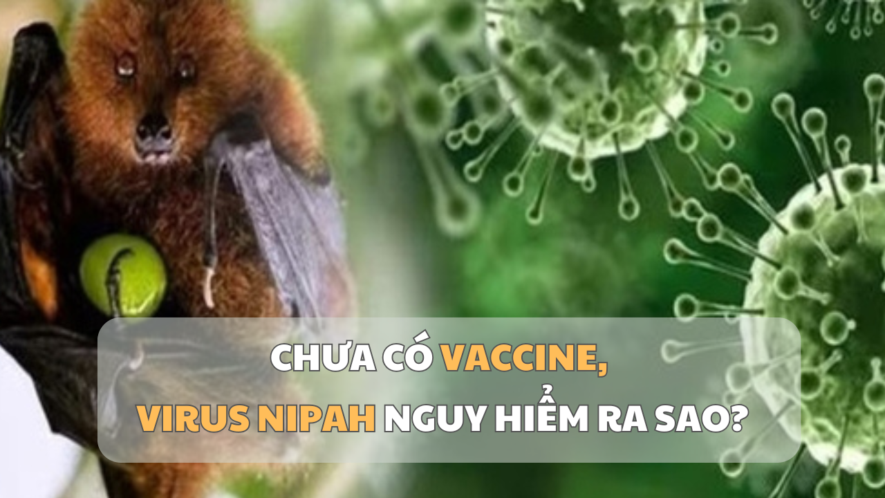 Alertă în India din cauza virusului Nipah În dimineața zilei de 27 ianuarie 2026, Ministerul Sănătății din India a raportat cinci cazuri suspecte de infecție cu virusul Nipah, dintre care două au fost confirmate, într-un spital din statul Bengalul de Vest