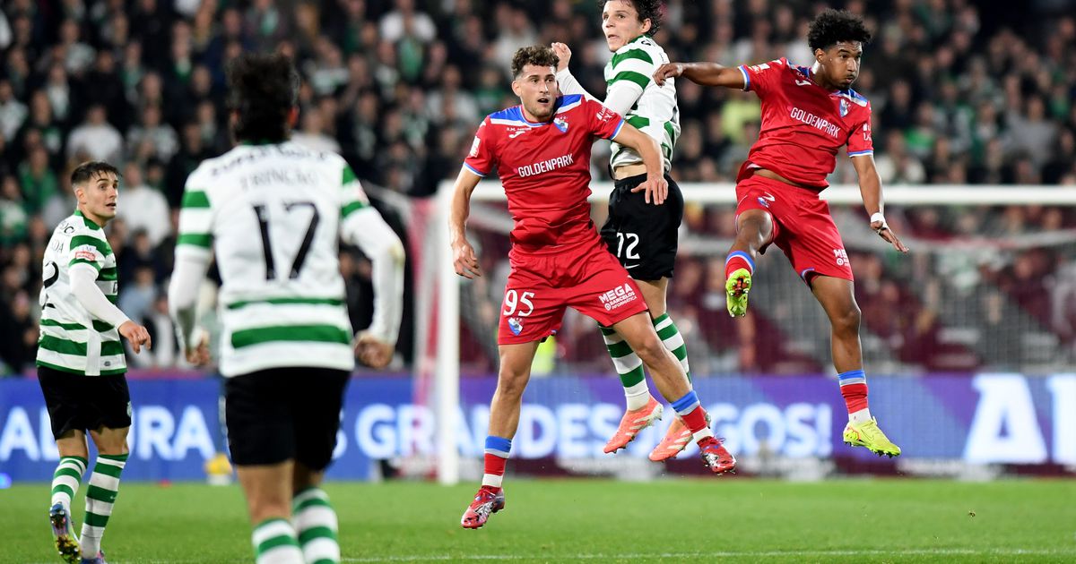 „Galo de peito a lovit: leul pus la zid într-o cronică neașteptată”