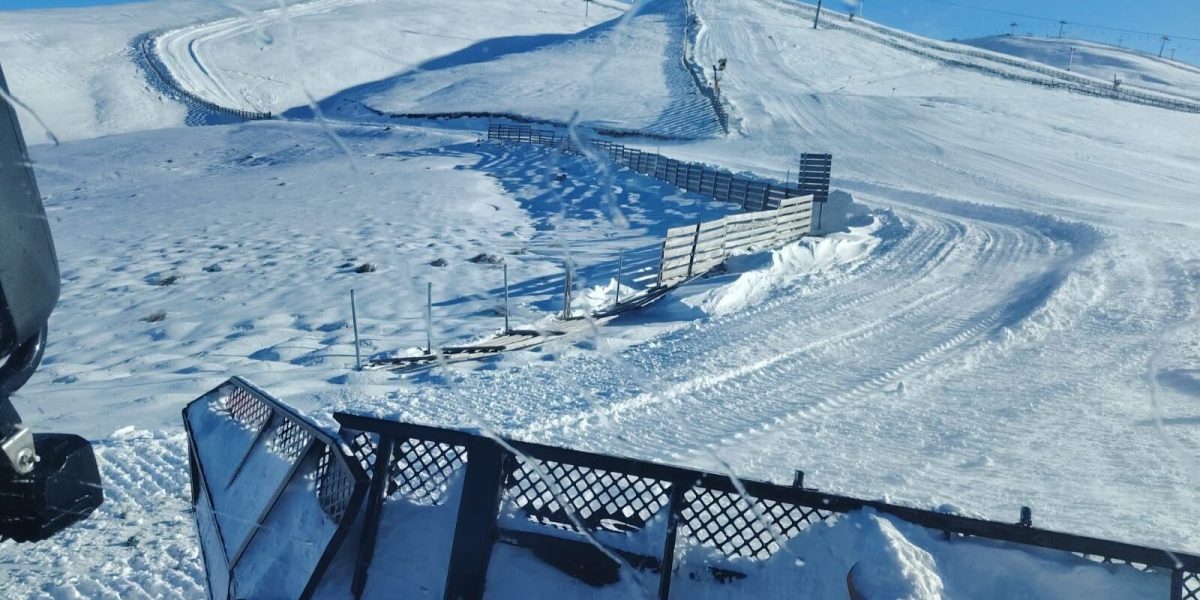 606310258_1278359477655740_6248154203446451249_n-e1768032281187.jpg - ReporterUrban