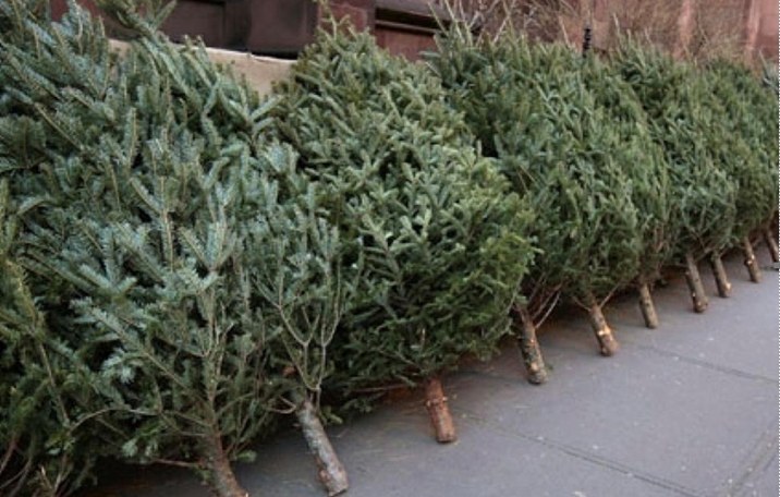 608446126_122117816589044644_1494675727540220650_n.jpg - ReporterUrban