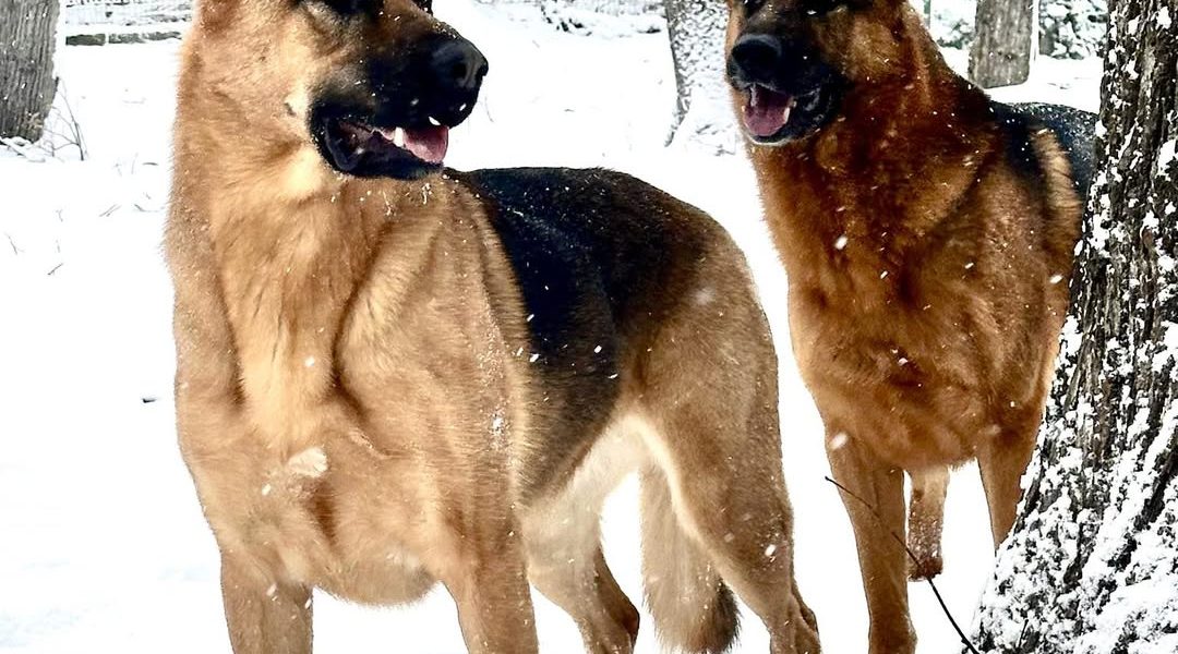 614862386_1473170691474745_5015169552524529986_n.jpg - ReporterUrban