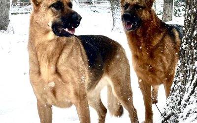 614862386_1473170691474745_5015169552524529986_n.jpg - ReporterUrban