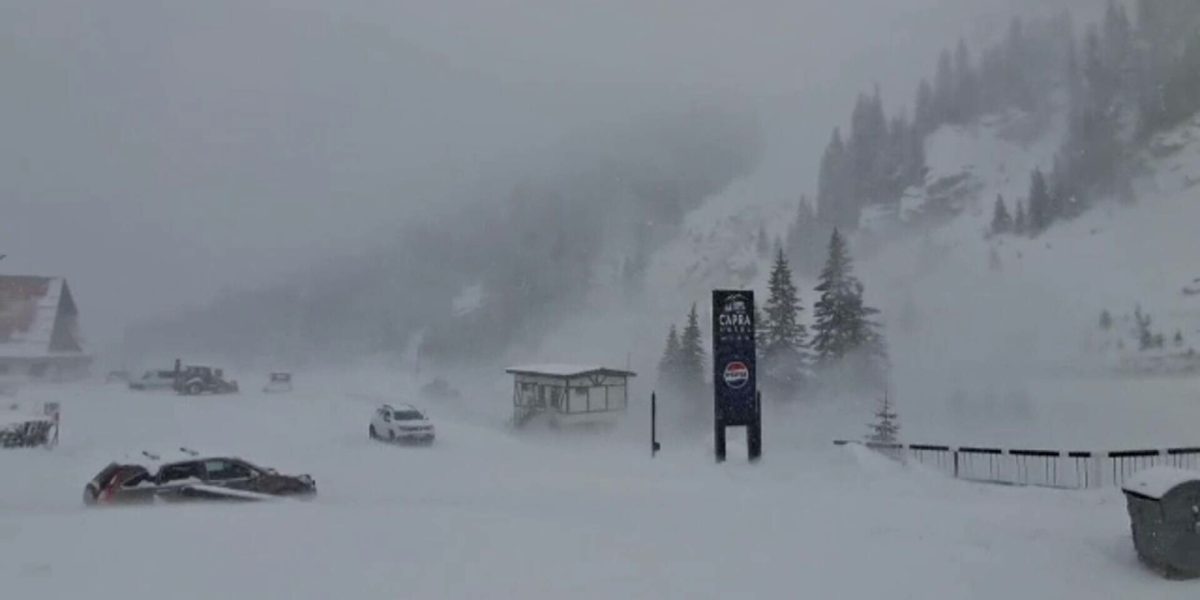 62500391.jpg - ReporterUrban