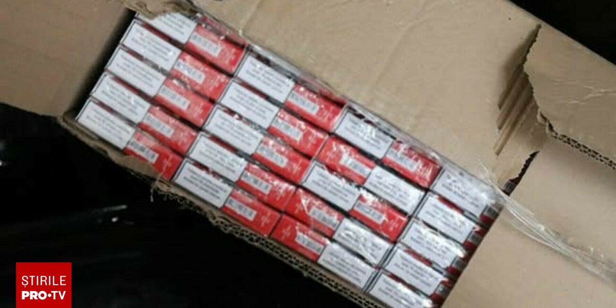 62591867-2.jpg - ReporterUrban