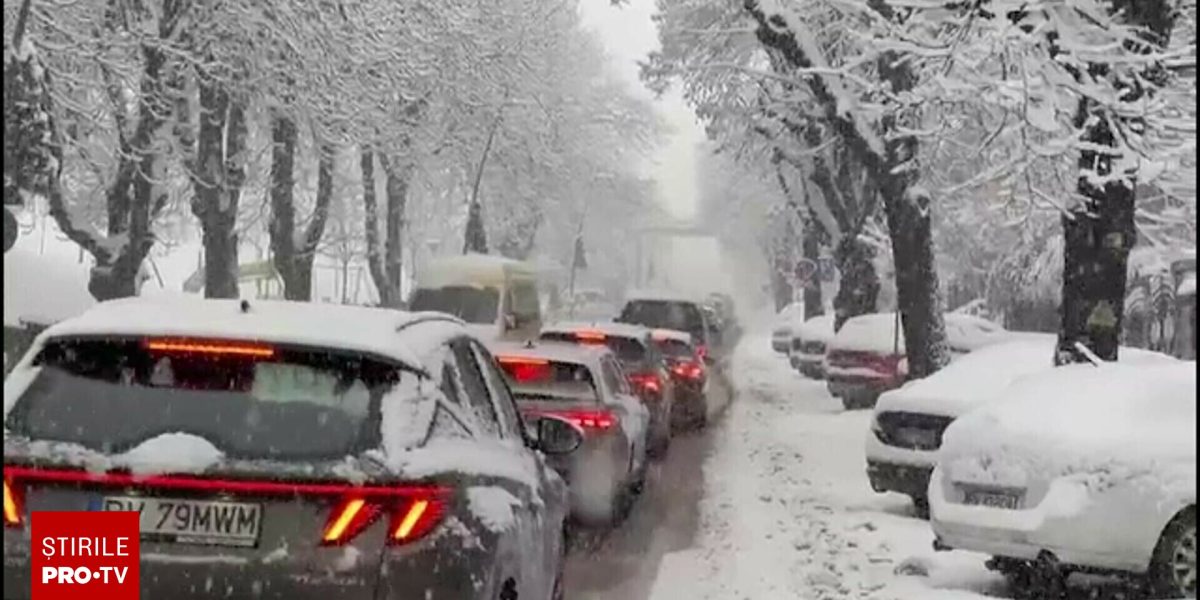 62603458-2.jpg - ReporterUrban