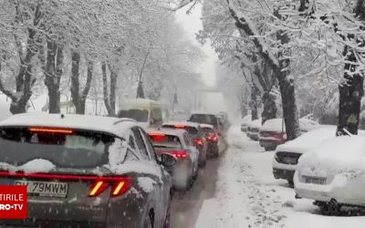 62603458-2.jpg - ReporterUrban