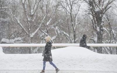 7411936-mediafax_foto-andreea_alexandru-scaled.jpg - ReporterUrban