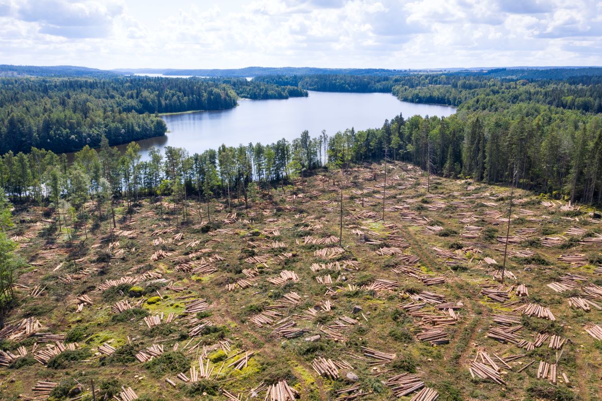 Accord UE-Mercosur : une catastrophe environnementale ?