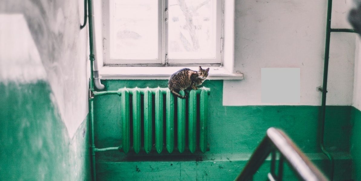 Calorifer-pexels-maria-orlova-4946714.jpg - ReporterUrban