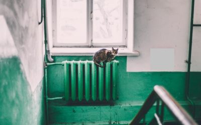 Calorifer-pexels-maria-orlova-4946714.jpg - ReporterUrban