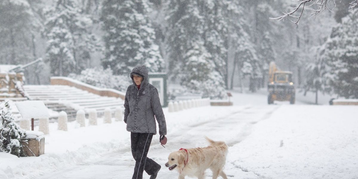 FB1A9678.jpg - ReporterUrban