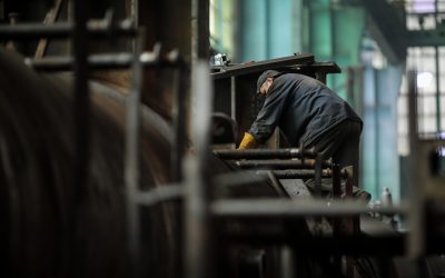 ID120826_INQUAM_Photos_George_Calin.jpg - ReporterUrban