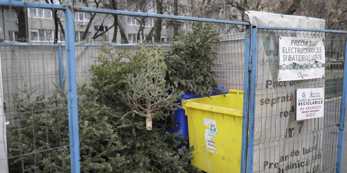 ID211408_INQUAM_Photos_Octav_Ganea-scaled.jpg - ReporterUrban