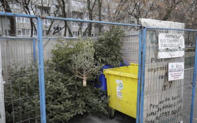 ID211408_INQUAM_Photos_Octav_Ganea-scaled.jpg - ReporterUrban