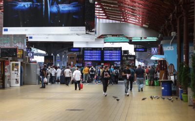 ID264270_INQUAM_Photos_George_Calin-1000x667.jpg - ReporterUrban