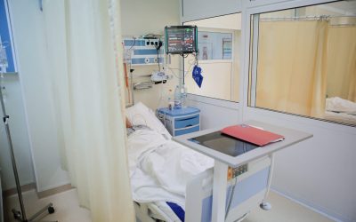 ID30977_INQUAM_Photos_George_Calin-scaled.jpg - ReporterUrban