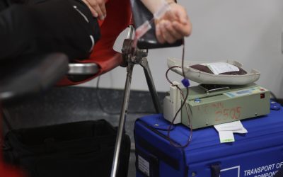 ID318910_INQUAM_Photos_George_Calin-1600x1067-1.jpg - ReporterUrban