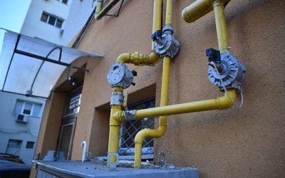 ID322394_INQUAM_Photos_Alex-Nicodim_-1600x1067-1-1.jpg - ReporterUrban