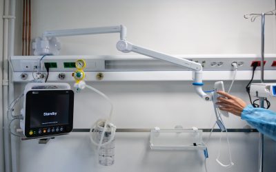 ID324935_INQUAM_Photos_Alexandru_Nechez-scaled.jpg - ReporterUrban