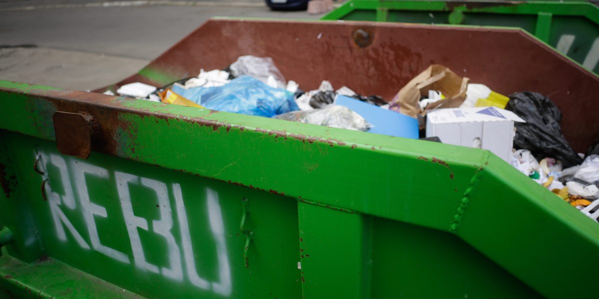 ID65550_INQUAM_Photos_George_Calin-scaled.jpg - ReporterUrban