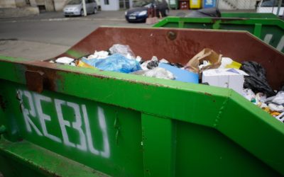 ID65550_INQUAM_Photos_George_Calin-scaled.jpg - ReporterUrban