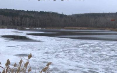 Lacurile-din-Ilfov-inghetate-acces-interzis-a.jpg - ReporterUrban