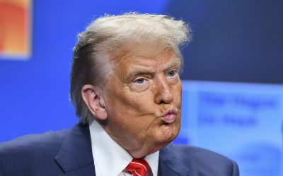 NATO_CONFERINTE_SUA_ROU_79_INQUAM_Photos_Eduard_Vinatoru.jpg - ReporterUrban