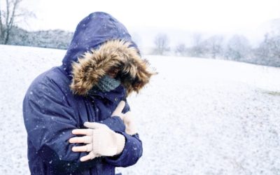 NDYzZTQ0NzFkMDJkNzgwMTliZmIxZDM2YjI5ZWQ.thumb_.jpg - ReporterUrban