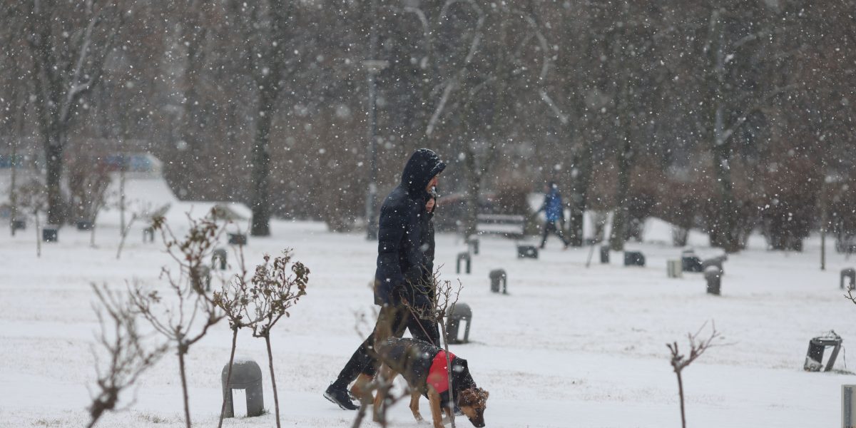 Ninsoare-in-Bucuresti-parcul-IOR.jpg - ReporterUrban