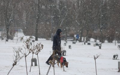 Ninsoare-in-Bucuresti-parcul-IOR.jpg - ReporterUrban