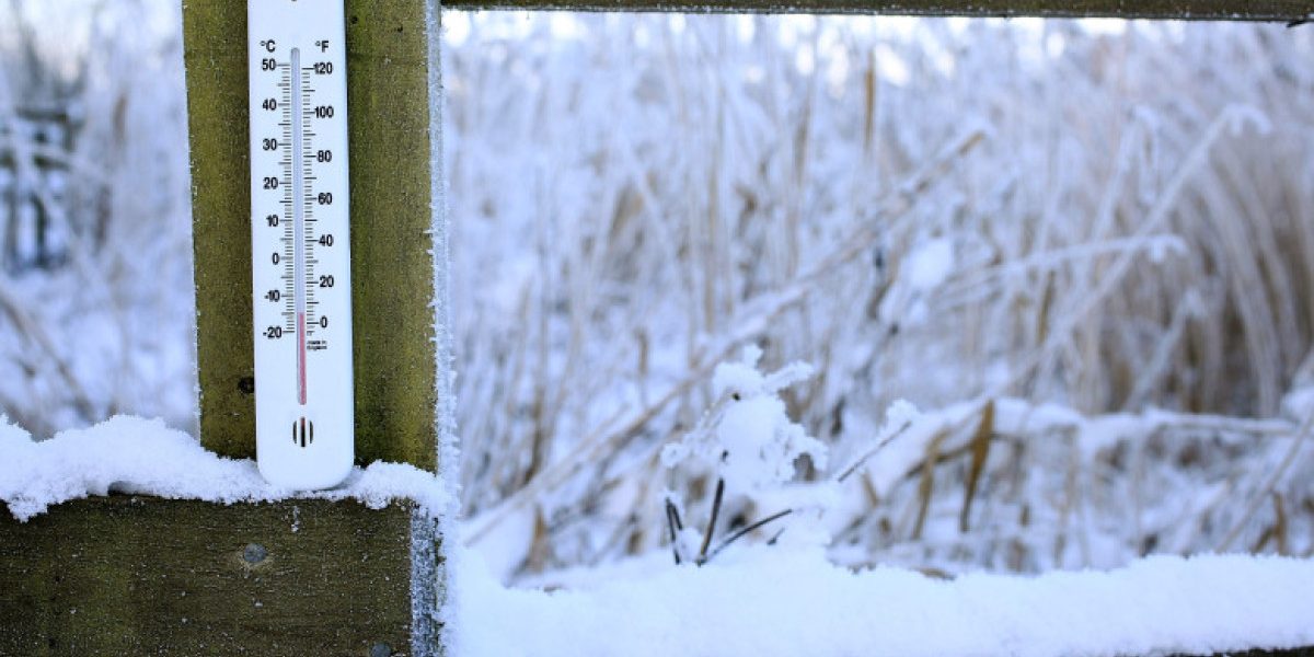 PTYzMCZ6Yz0xJmhhc2g9ZGJmNDVhNzE3MWJjNmQ0N2RiNTUwZTYwMWY5YzdlOTM.thumb_.jpg - ReporterUrban