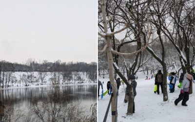 Parcul-Tineretului-partie.jpg - ReporterUrban