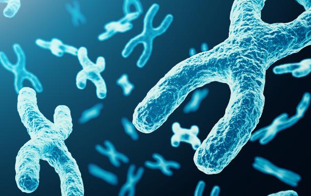 More Upside Potential for 2026?