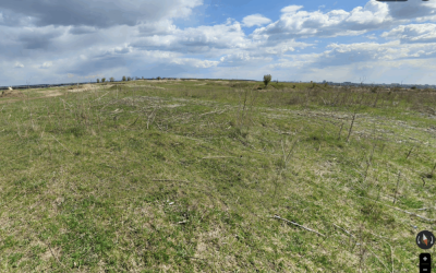 Screenshot-2026-01-03-at-10.47.09-1000x706.png - ReporterUrban