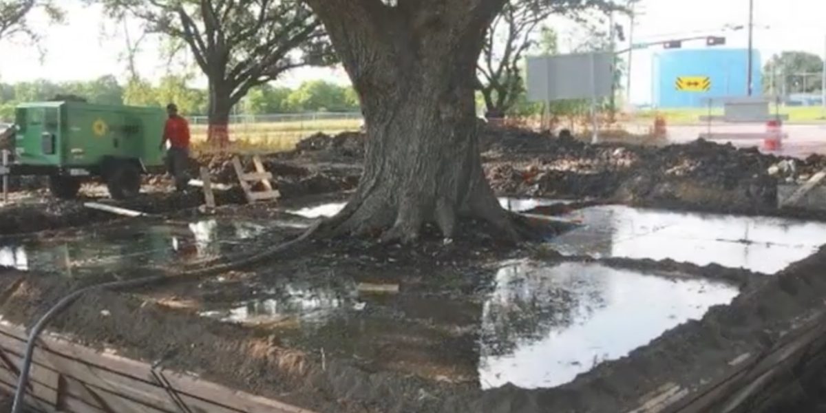 Taiat.jpg - ReporterUrban