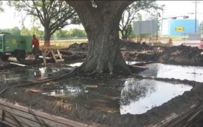 Taiat.jpg - ReporterUrban