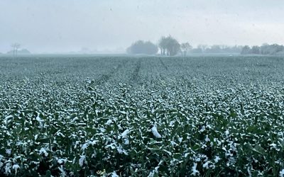 WhatsApp-Image-2025-04-07-at-19.45.18.jpeg - ReporterUrban