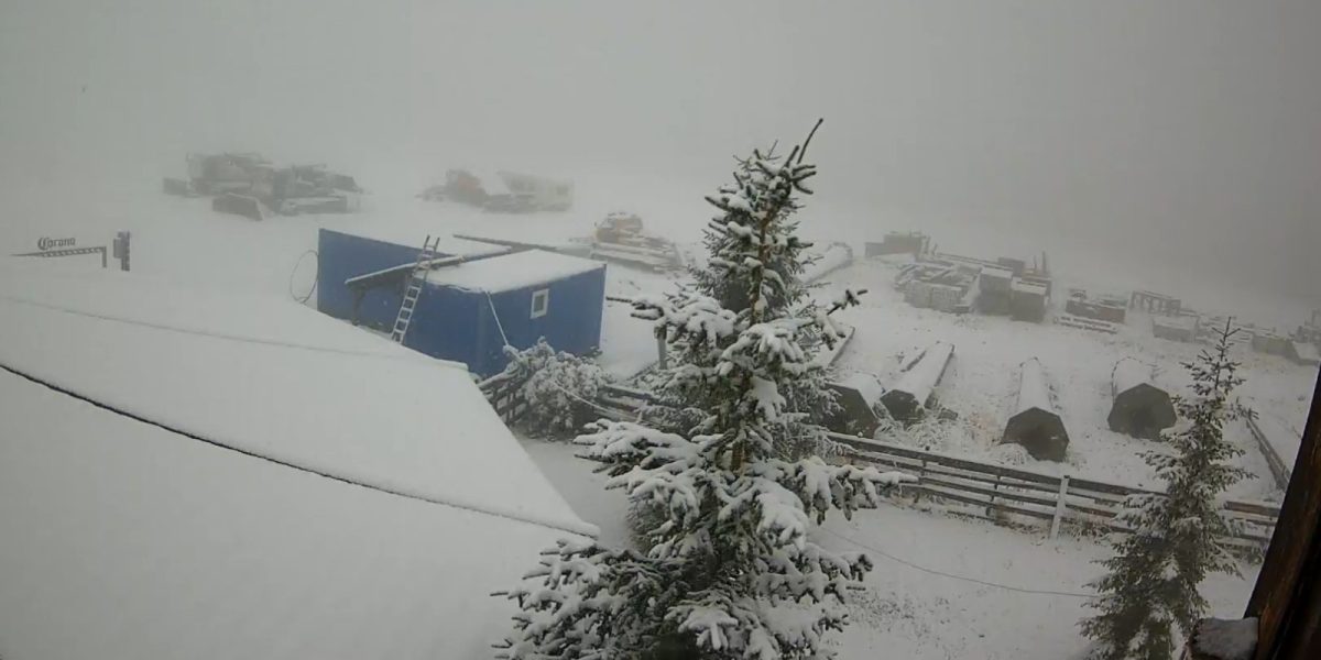 WhatsApp-Image-2025-09-29-at-10.14.41.jpeg - ReporterUrban