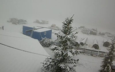 WhatsApp-Image-2025-09-29-at-10.14.41.jpeg - ReporterUrban