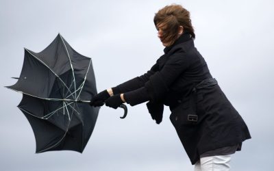 aGFzaD0zNDUyYjgxN2M5Nzk2MDIxODQ2YmEwNDc0ODYzN2MyMg.thumb_.jpg - ReporterUrban